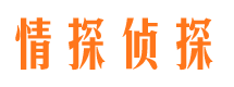 池州侦探